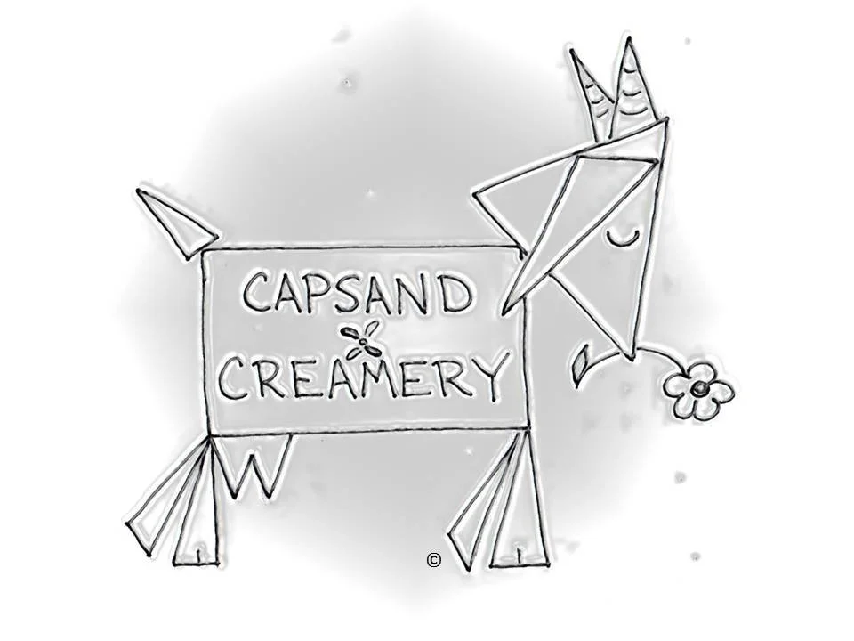 Capsand Creamery logo