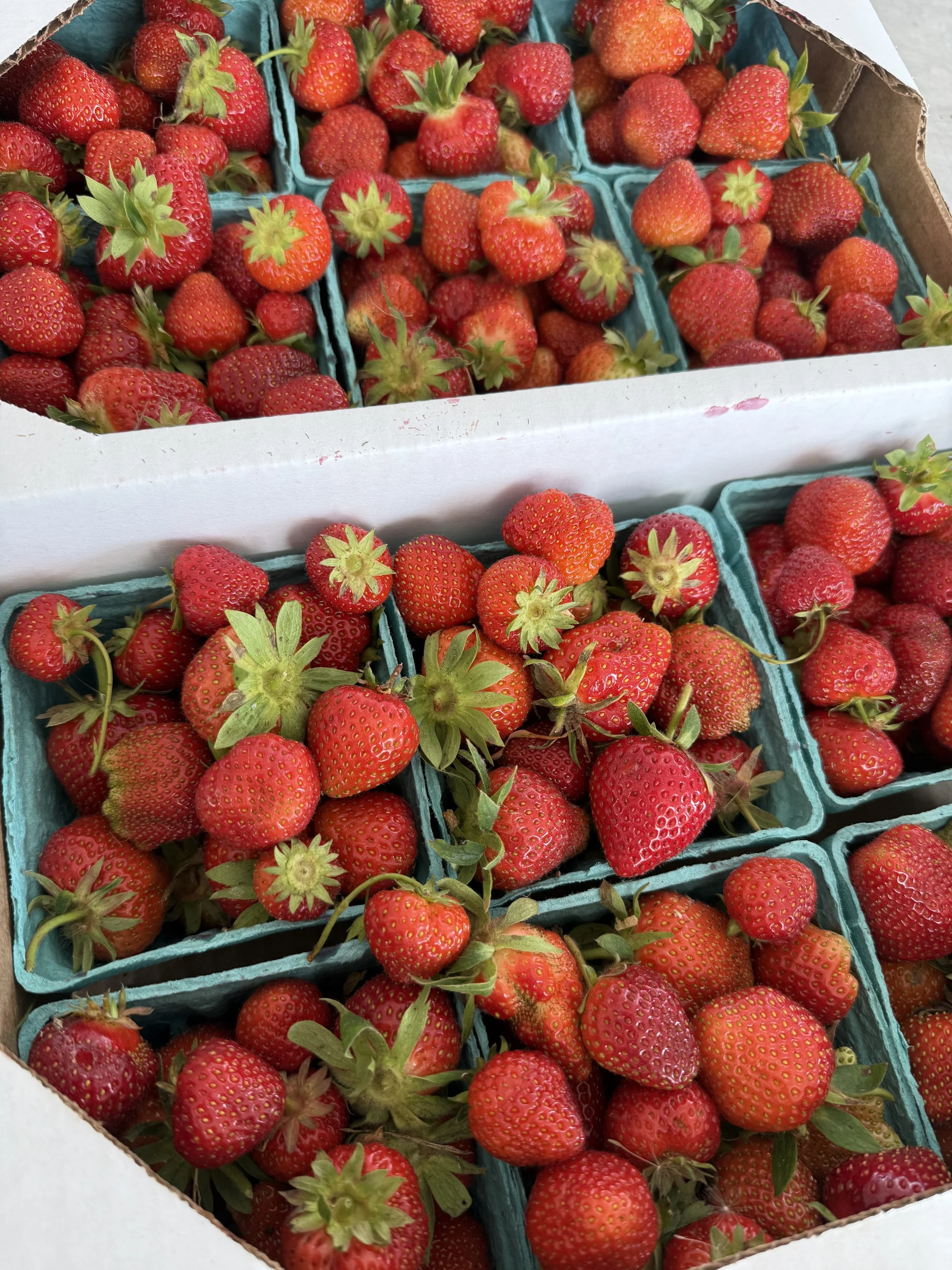 red strawberries in pint baskets and flats