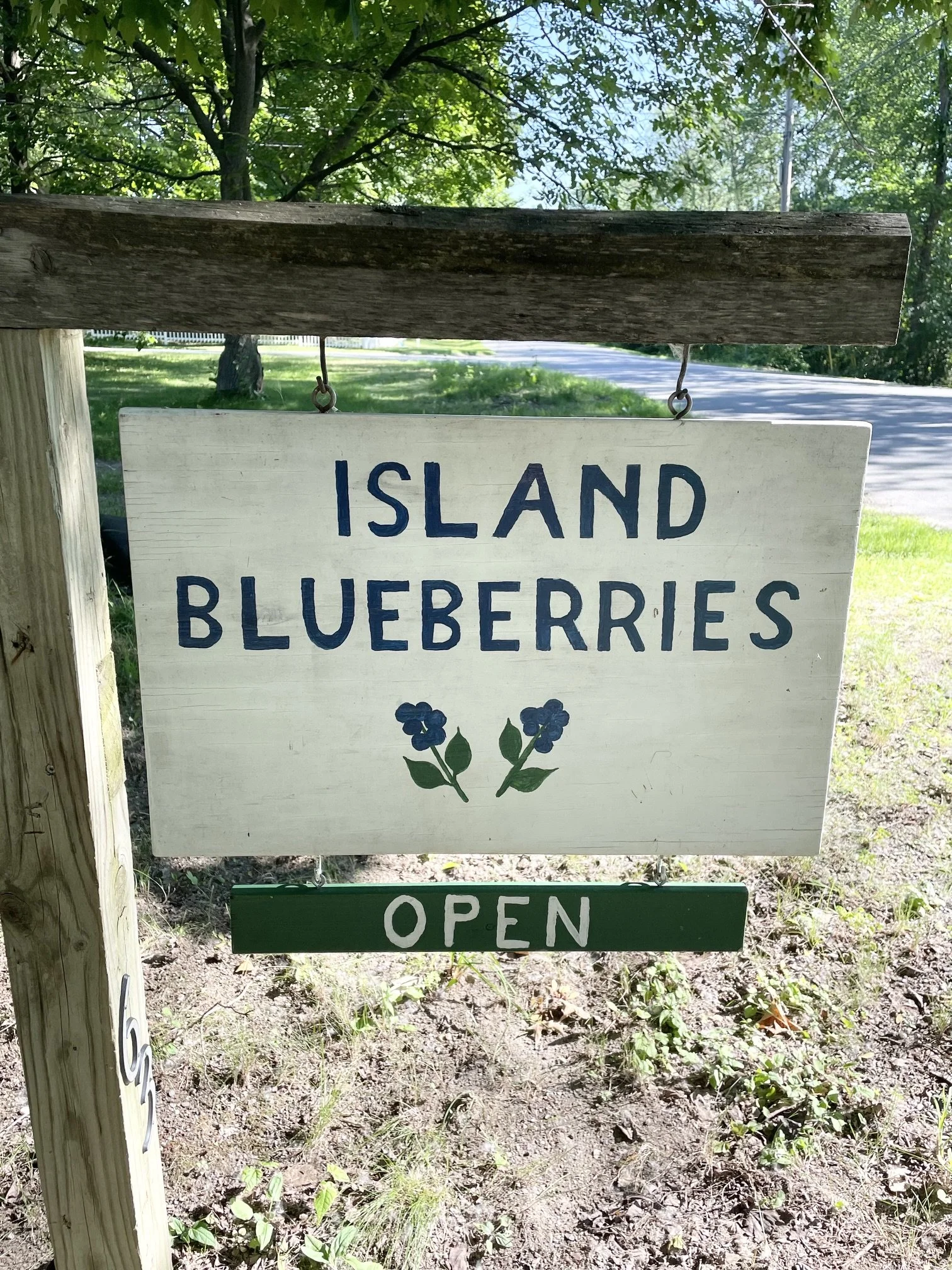 Handpainted roadside sign for Island Blueberries