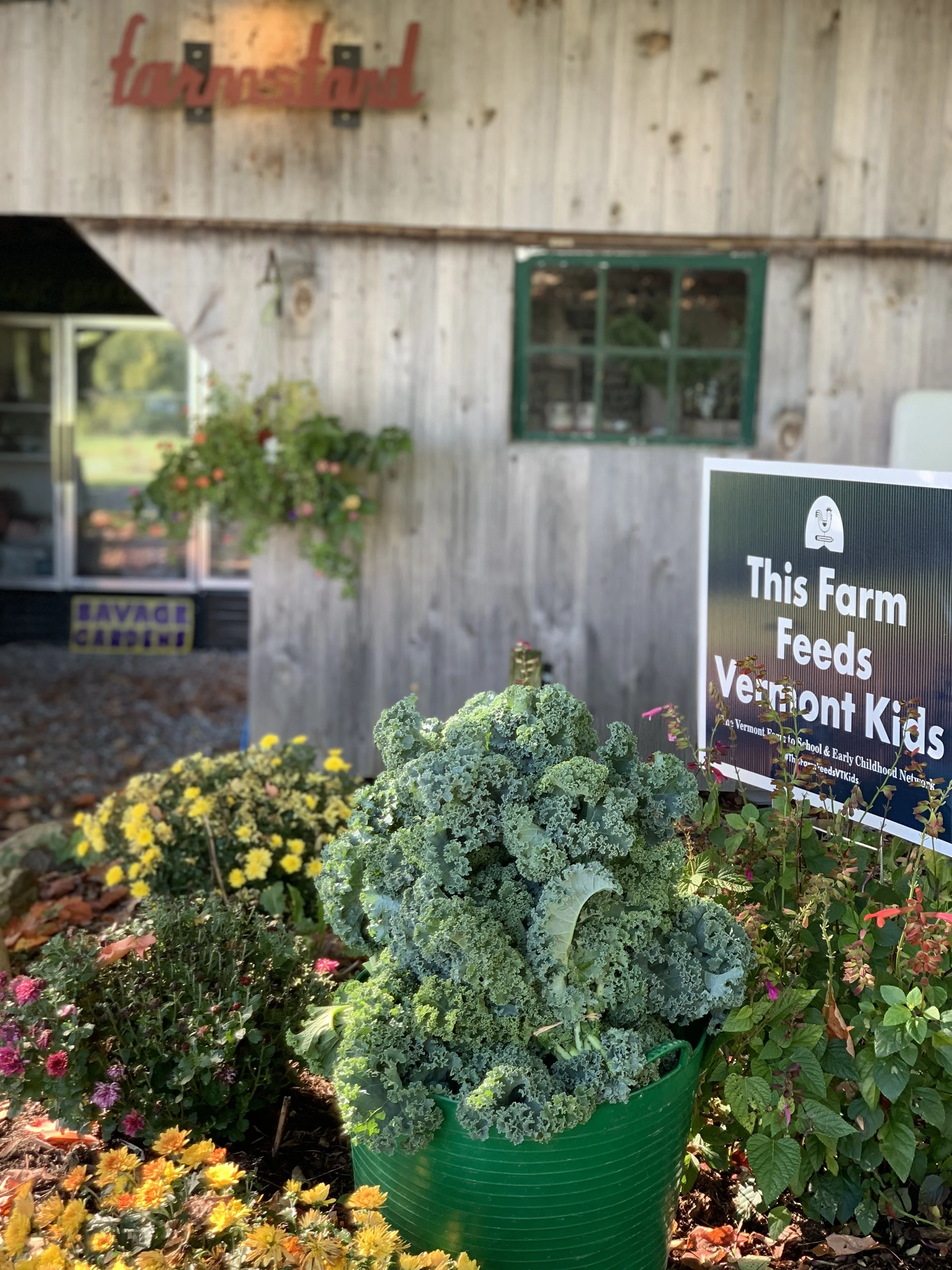 produce displayed in front of Savage Garden's wooden barn