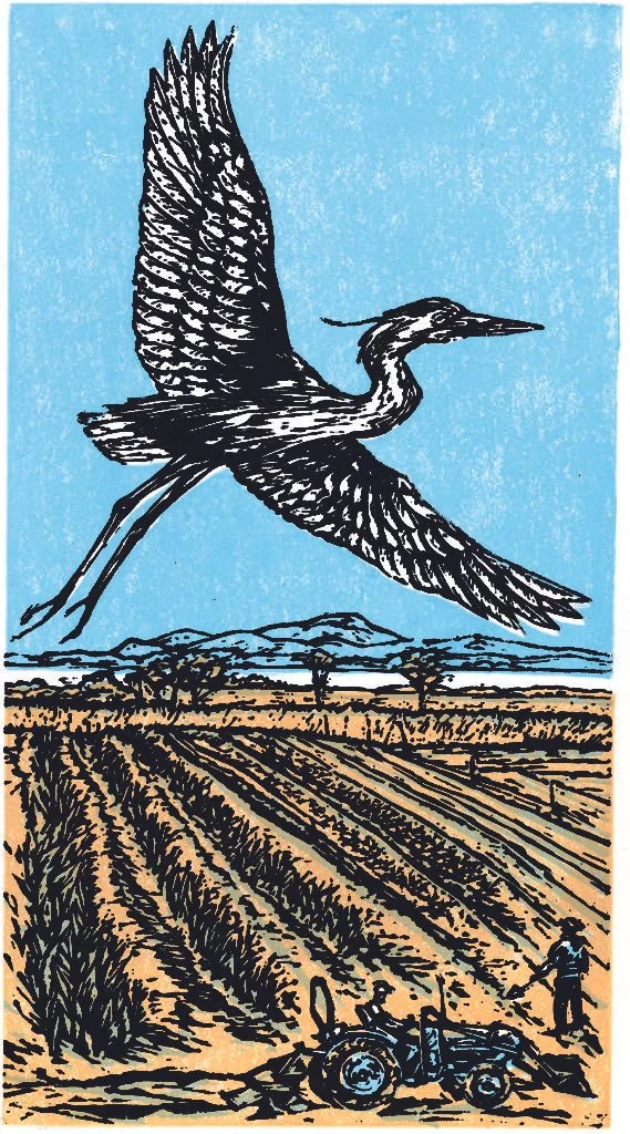 block print of a heron flying over farm fields