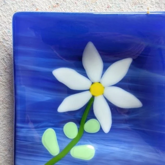 DaisyonBlue-01-02.jpg