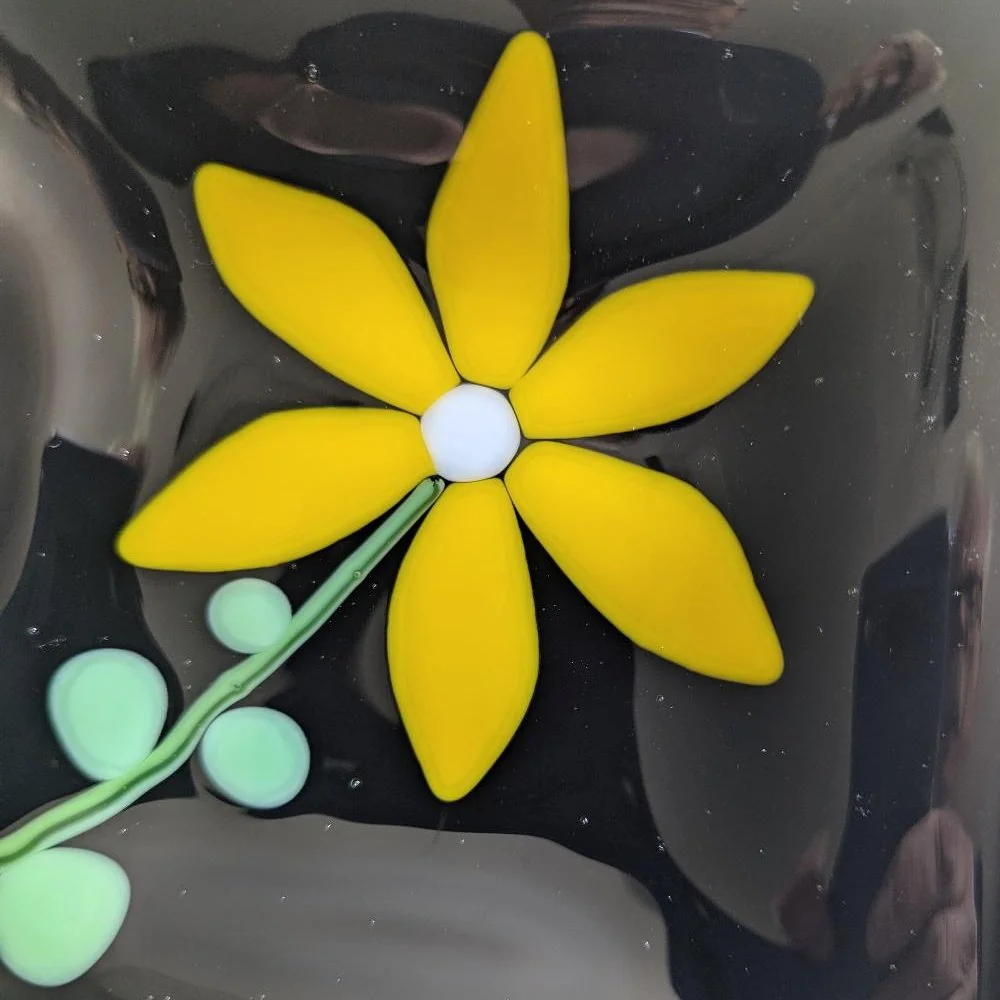 YellowFloweronBlack-01-06.jpg