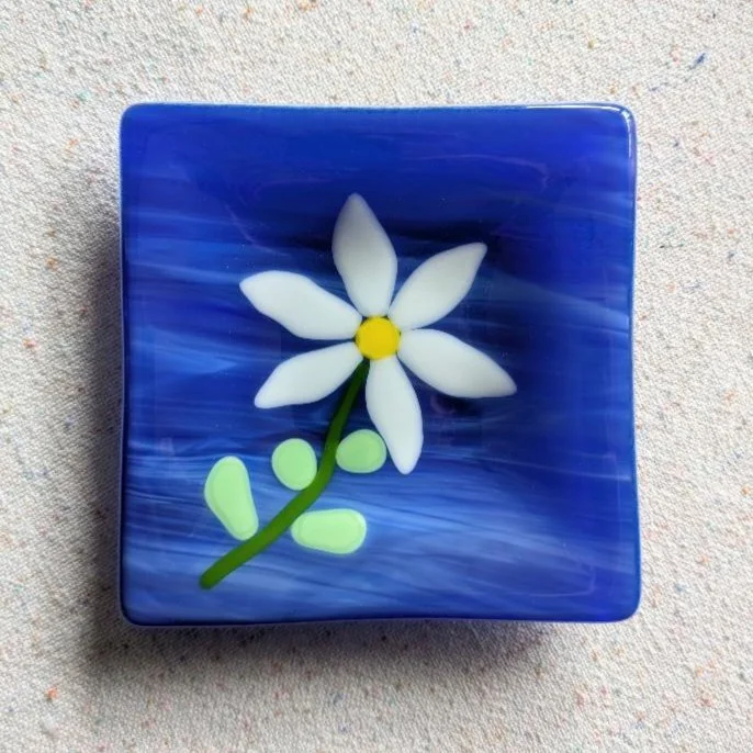 DaisyonBlue-01-01.jpg