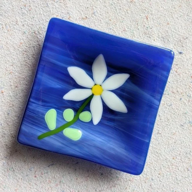 DaisyonBlue-01-04.jpg