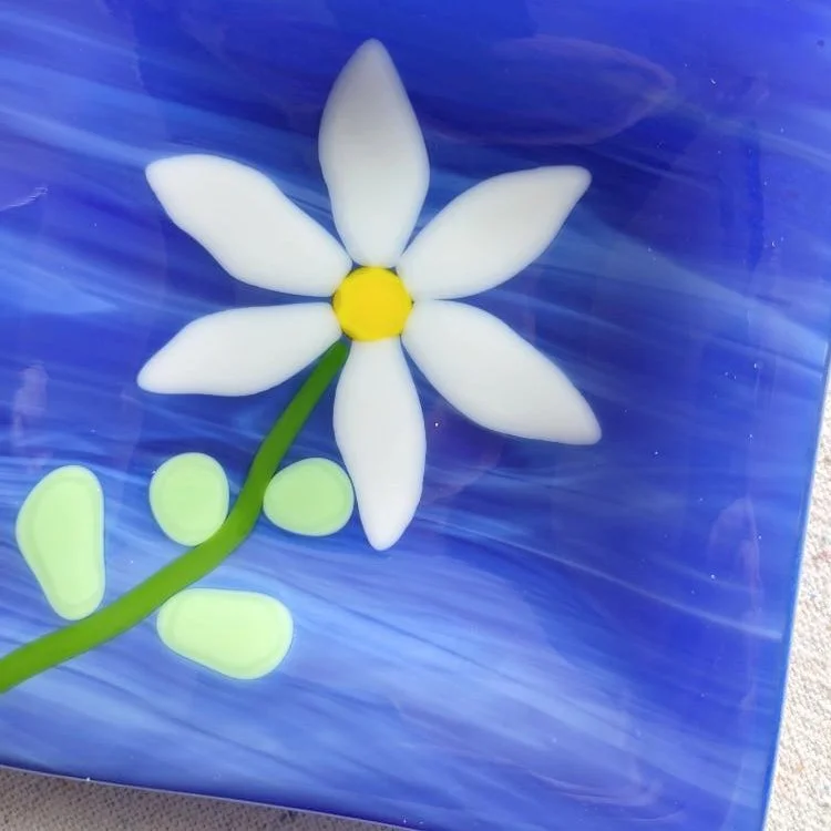 DaisyonBlue-01-06.jpg