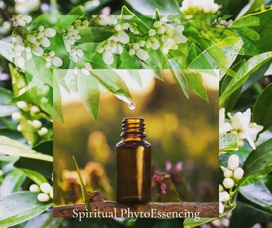 Developing a Spiritual PhytoEssencing blend for the Aries Zodiac

Reference - Berkowsky&rsquo;s Spiritual PhytoEssencing (SPE) Repertory of Essential Oils. The repertory is the tool that guides you to the Materia Medica. 

*Develop an Aries profile (
