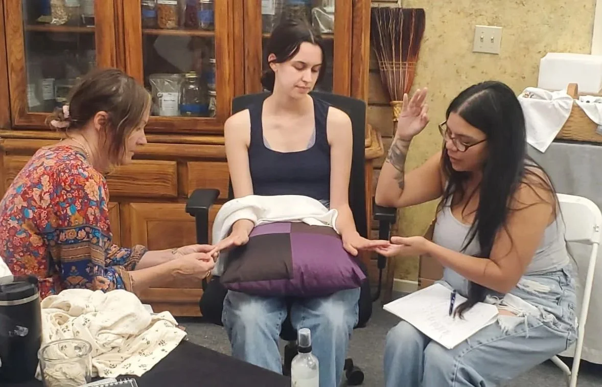 Reading the Body - Visual Indications to Understand Organ Energetics 