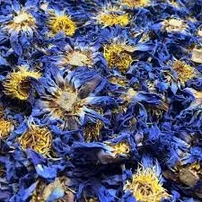 Blue Lotus Flower (Nymphaea caerulea)| 2.5 oz.