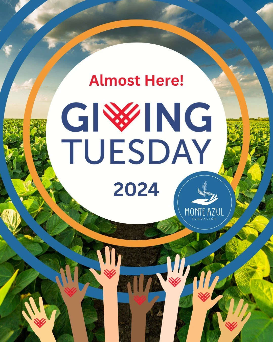 🌱✨ Giving Tuesday is Almost Here! ✨🌱

Join us to help reach our goal of raising $3,000 to make our coffee roasting room a reality. ☕💚

Why support us?

🌍 We&rsquo;ve impacted 300 participants through our Agriculture Academy since 2021.
🇵🇷 We&rs