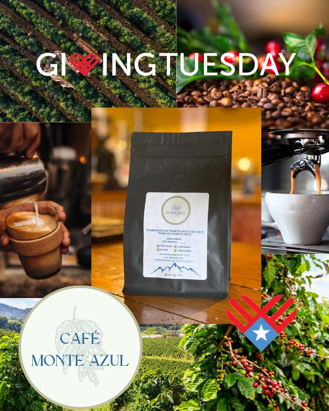 🌟🌱 Help Us Transform the Future this Giving Tuesday 🌾💚

At Monte Azul Foundation, we work to empower local farmers and build a more sustainable future. Since 2021, we&rsquo;ve impacted 300 farmers across 74 municipalities in Puerto Rico, providin