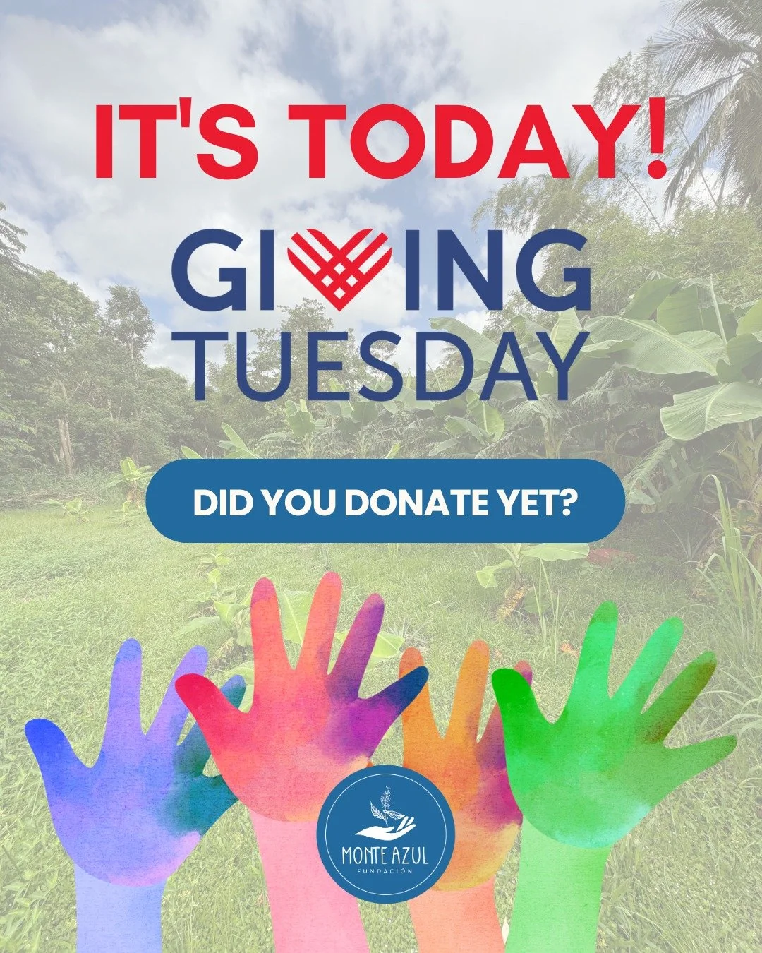☀️🌱 Good Morning! Today is Giving Tuesday! ☕💚

Start your day by making a difference! Your donation today will help us:

☕ Build a coffee roasting room to process Monte Azul Coffee.
🌾 Develop our agroecological farm in Maricao, home to over 1,000 