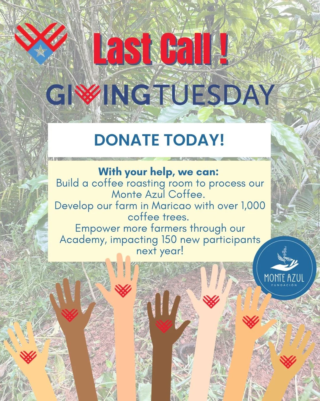 🌿✨ Your Donation Matters This Giving Tuesday! 🌾💚

We&rsquo;re halfway through the day and closer to our goal! With your help, we can:

☕ Build a coffee roasting room to process our Monte Azul Coffee.
🌾 Develop our farm in Maricao with over 1,000 