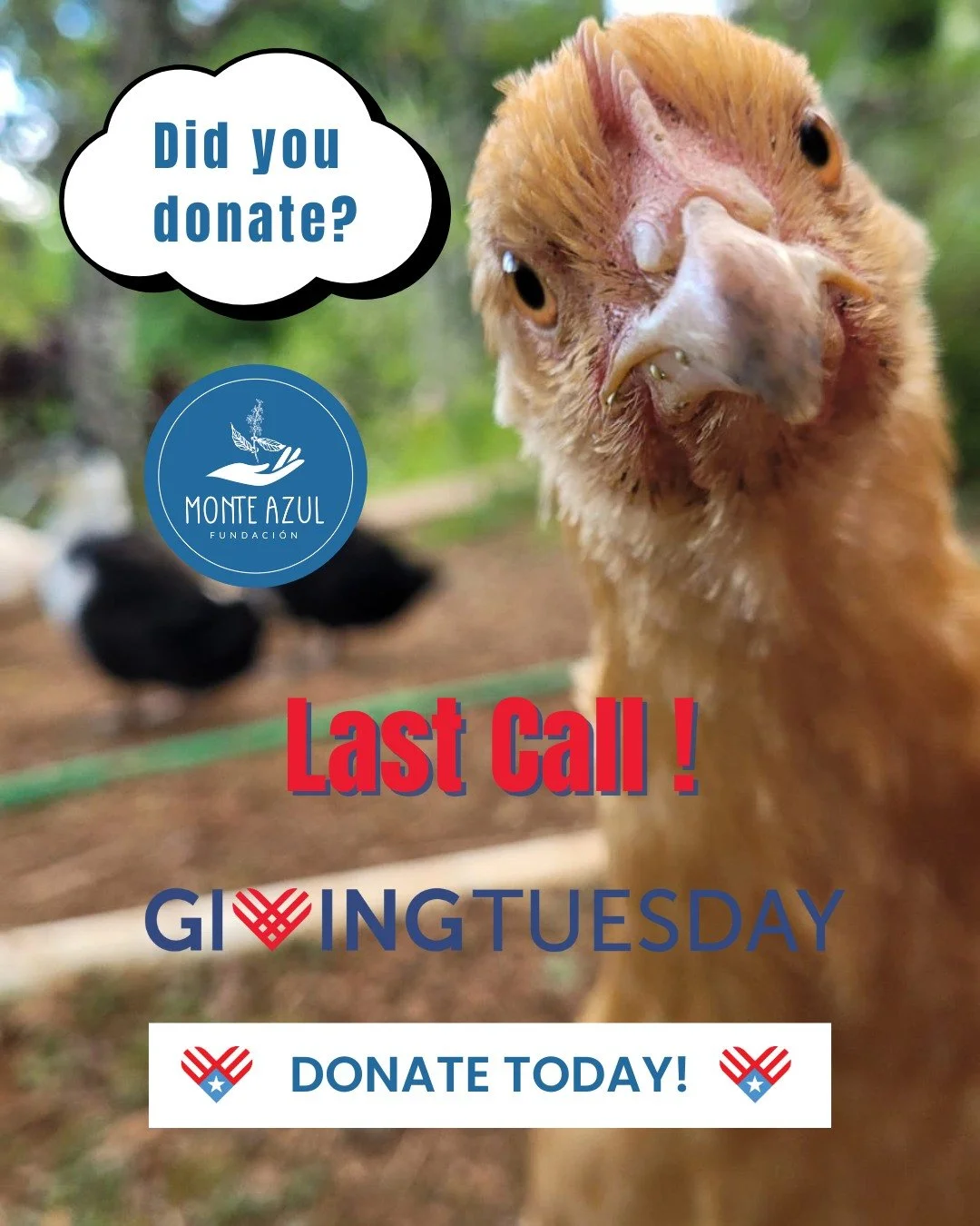 🌙✨ It&rsquo;s Not Too Late to Make an Impact This Giving Tuesday! 🌾💚

The day is coming to an end, but there&rsquo;s still time to help us transform Puerto Rico&rsquo;s agriculture. Your donation will:

☕ Bring our coffee roasting room to life, cr
