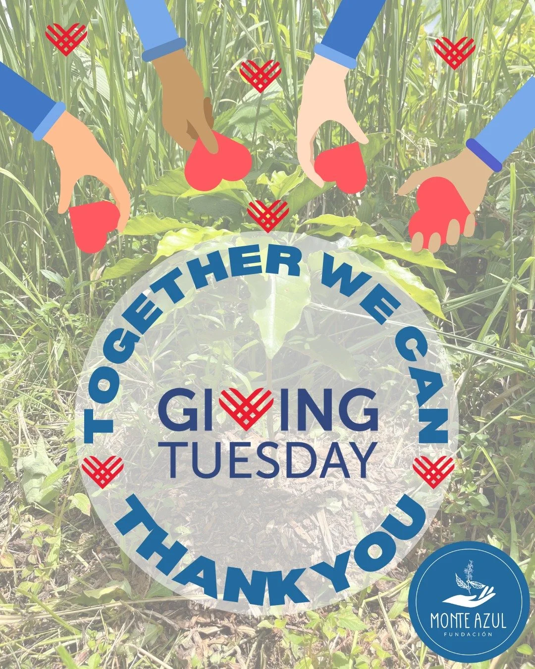 🙏💚 Thank You for Your Support this Giving Tuesday! 🌿☕

Thanks to your generosity, we&rsquo;re one step closer to building our coffee roasting room to support Caf&eacute; Monte Azul. 🌾 Over 1,000 coffee trees planted in Maricao are part of this dr
