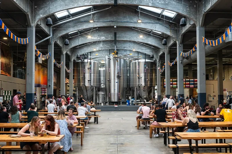 Rhinegeist Beer for Humans