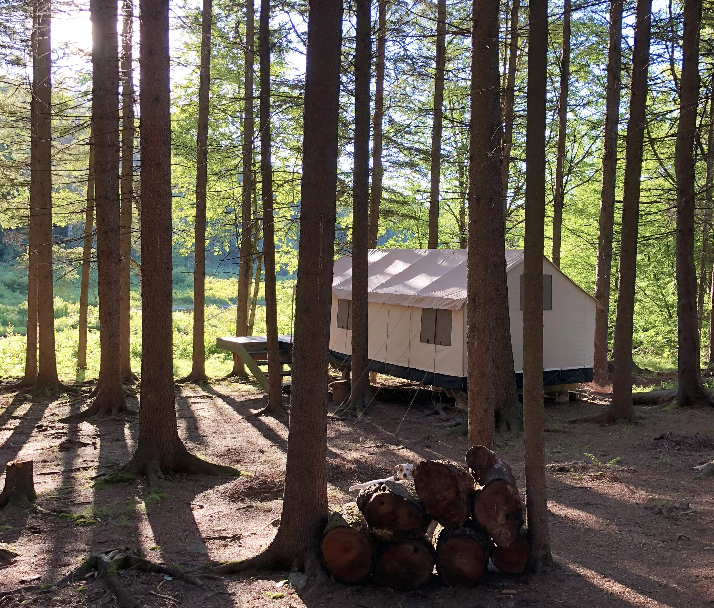 Wolf Hollow Camp