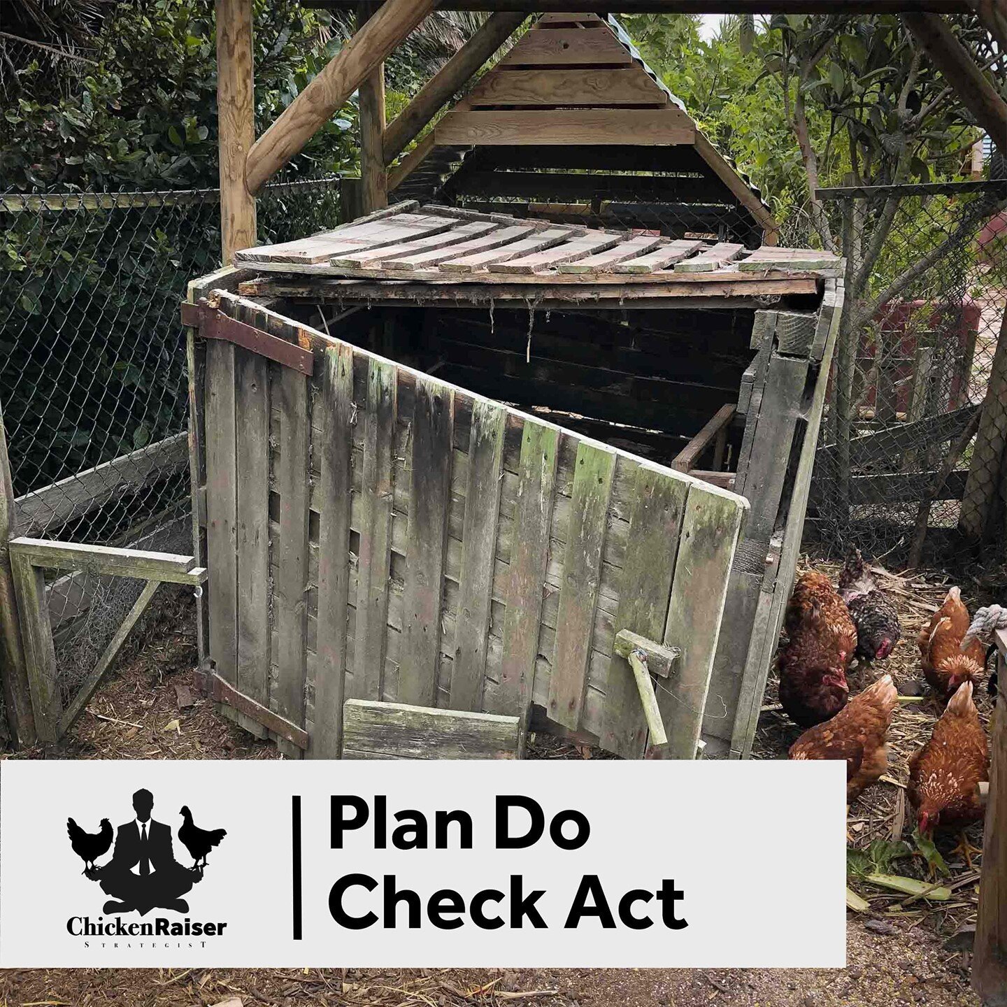 Micro Farming is an ongoing improvement process, just like creating contents and advertising for social media. It takes a combination of strategy, creativity and an insatiable desire for improvement. 
A few years ago, I built this chicken coop out of