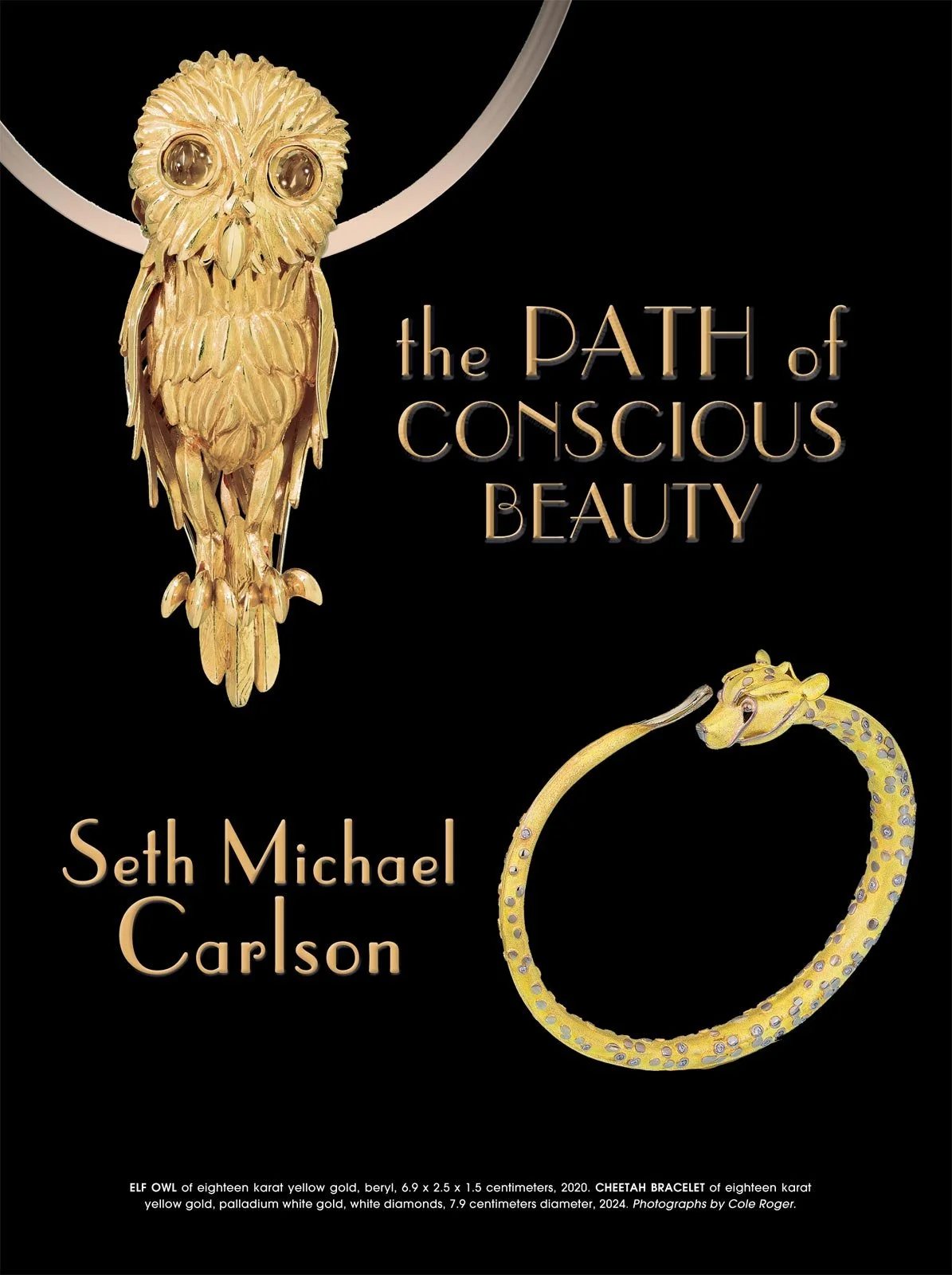 46_3_Seth-Michael-Carlson_Cover.jpg