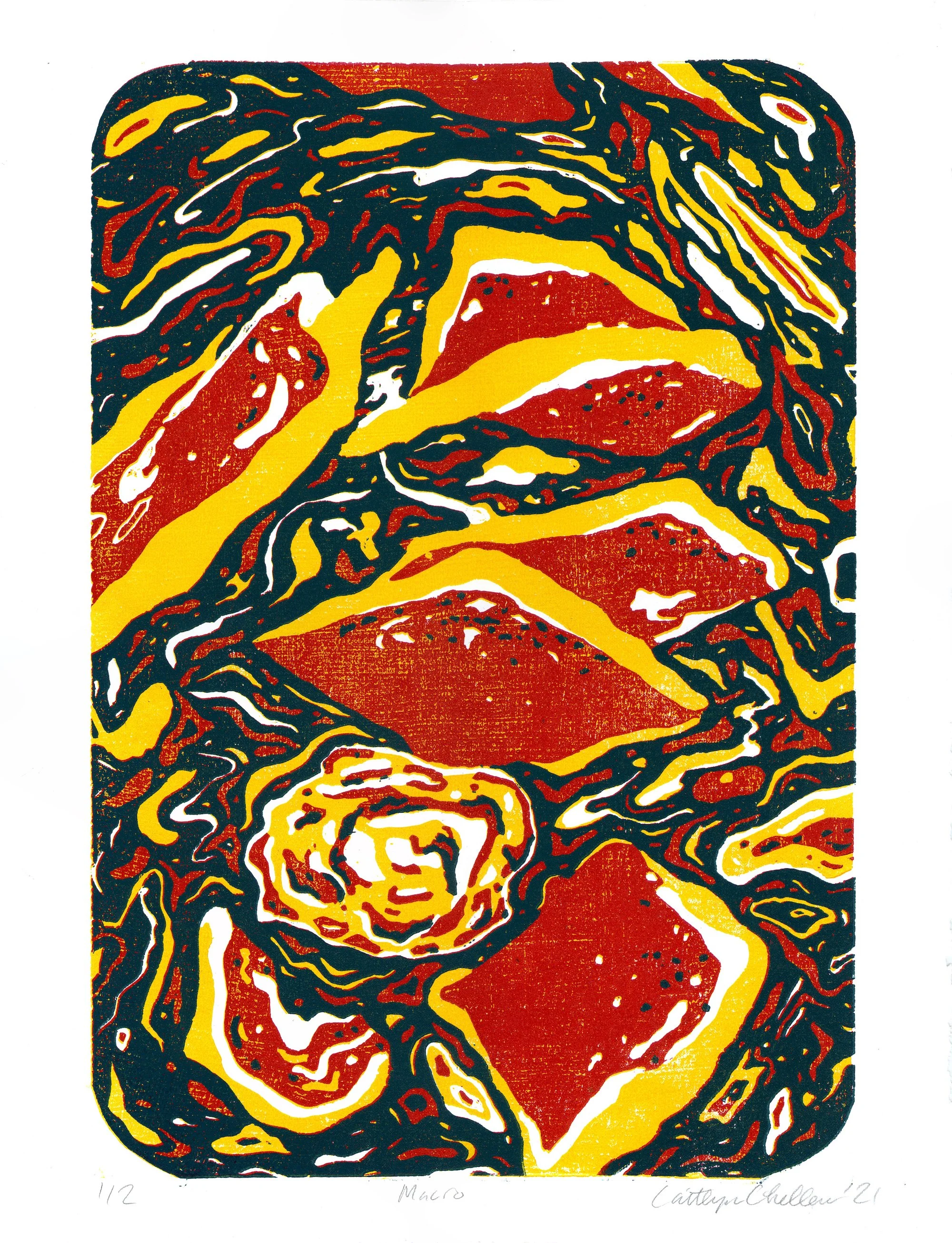 "Macro" reduction print