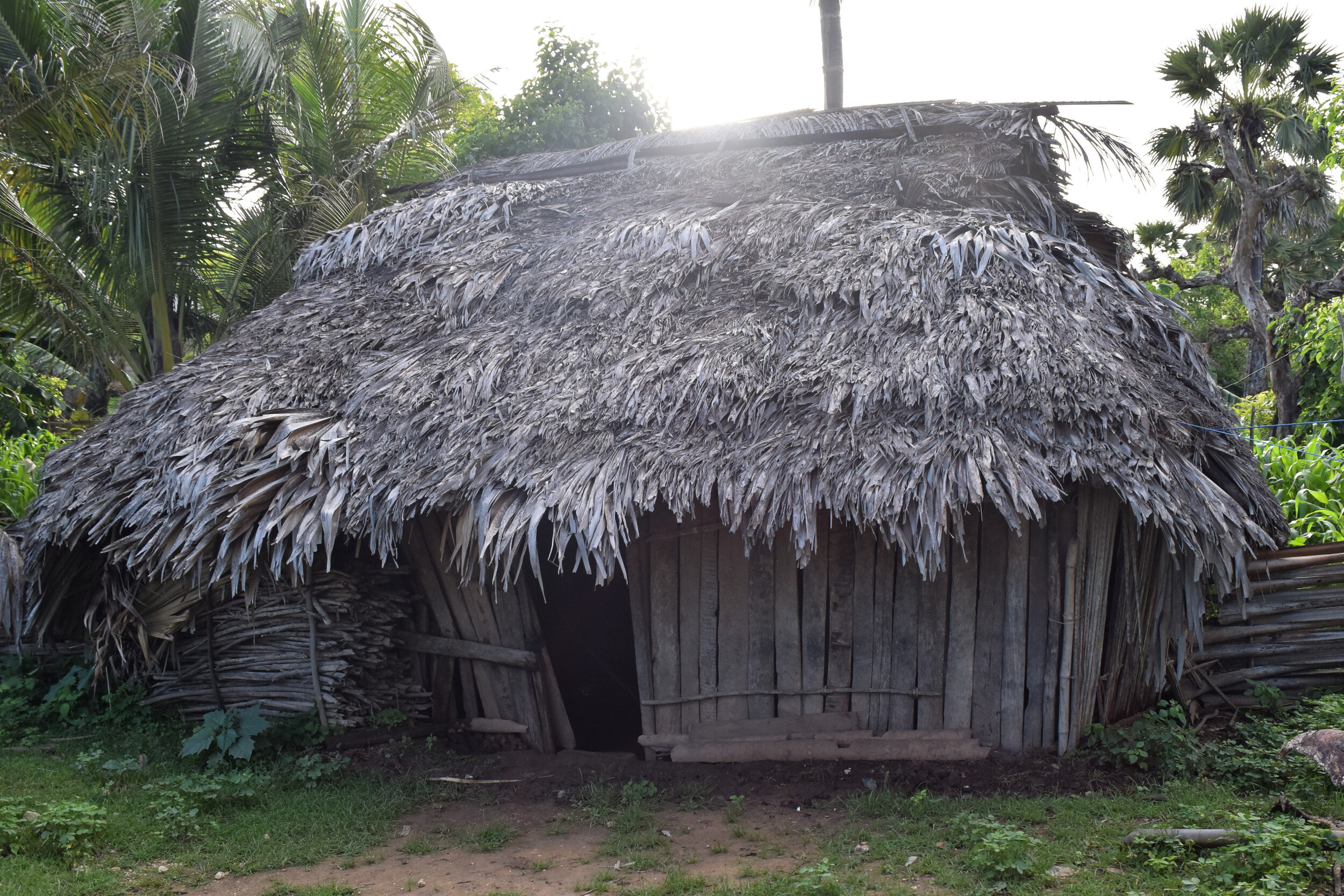 Traditional_House_Rote_Island.jpg