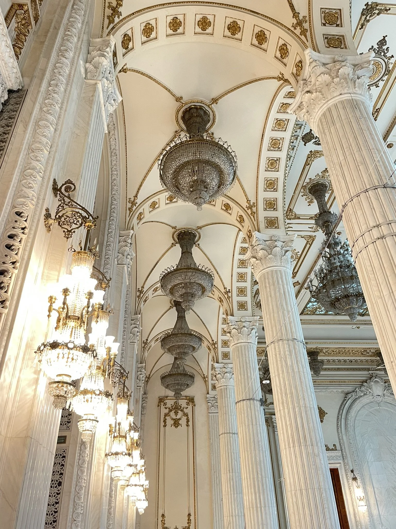 IMG_5554.JPEG