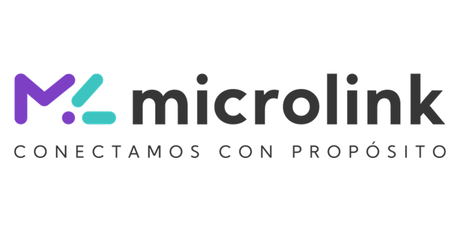 microlink logo.png