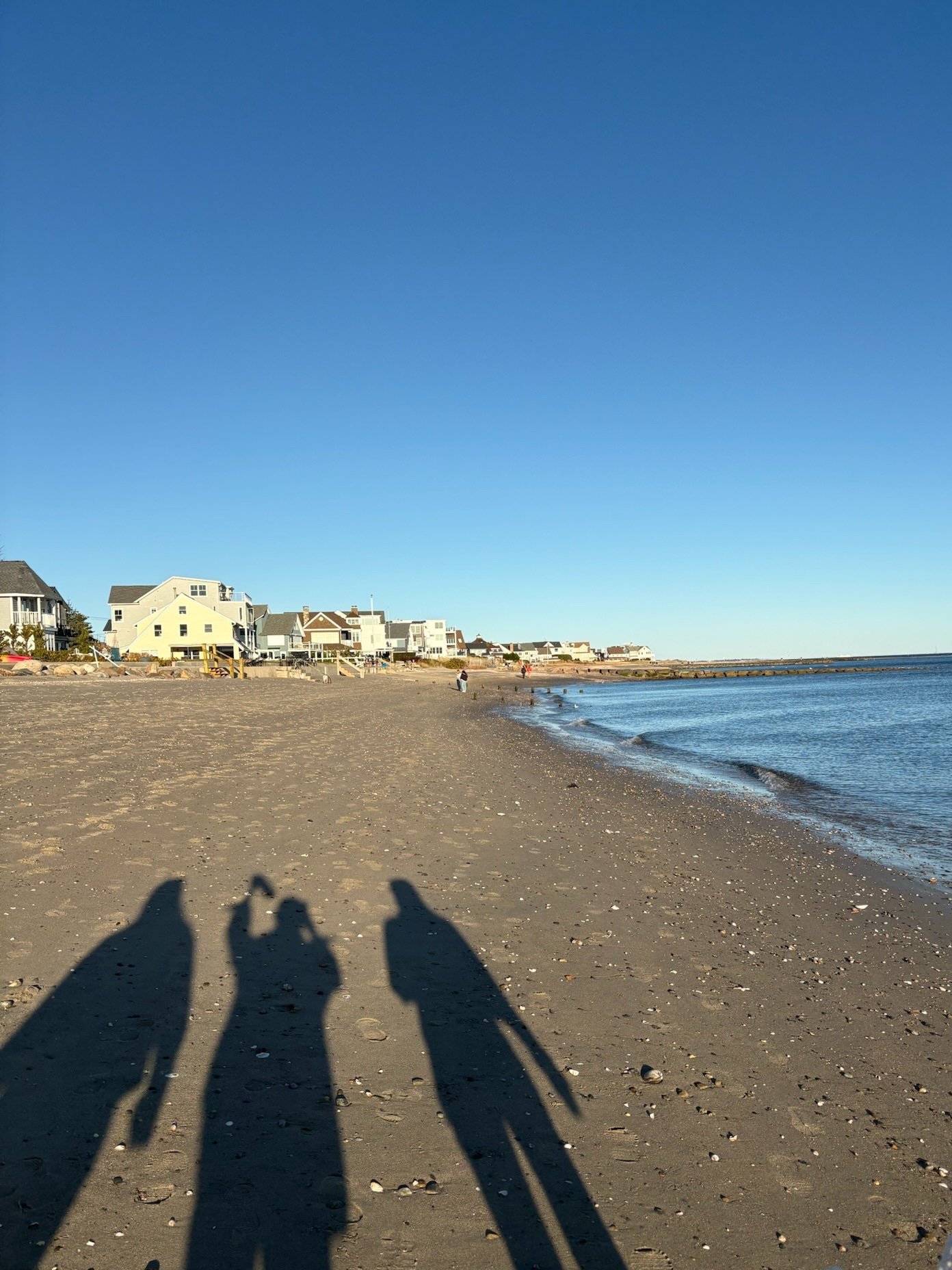 From Blah to Blast: Tips for Spontaneous Fun in Fairfield!