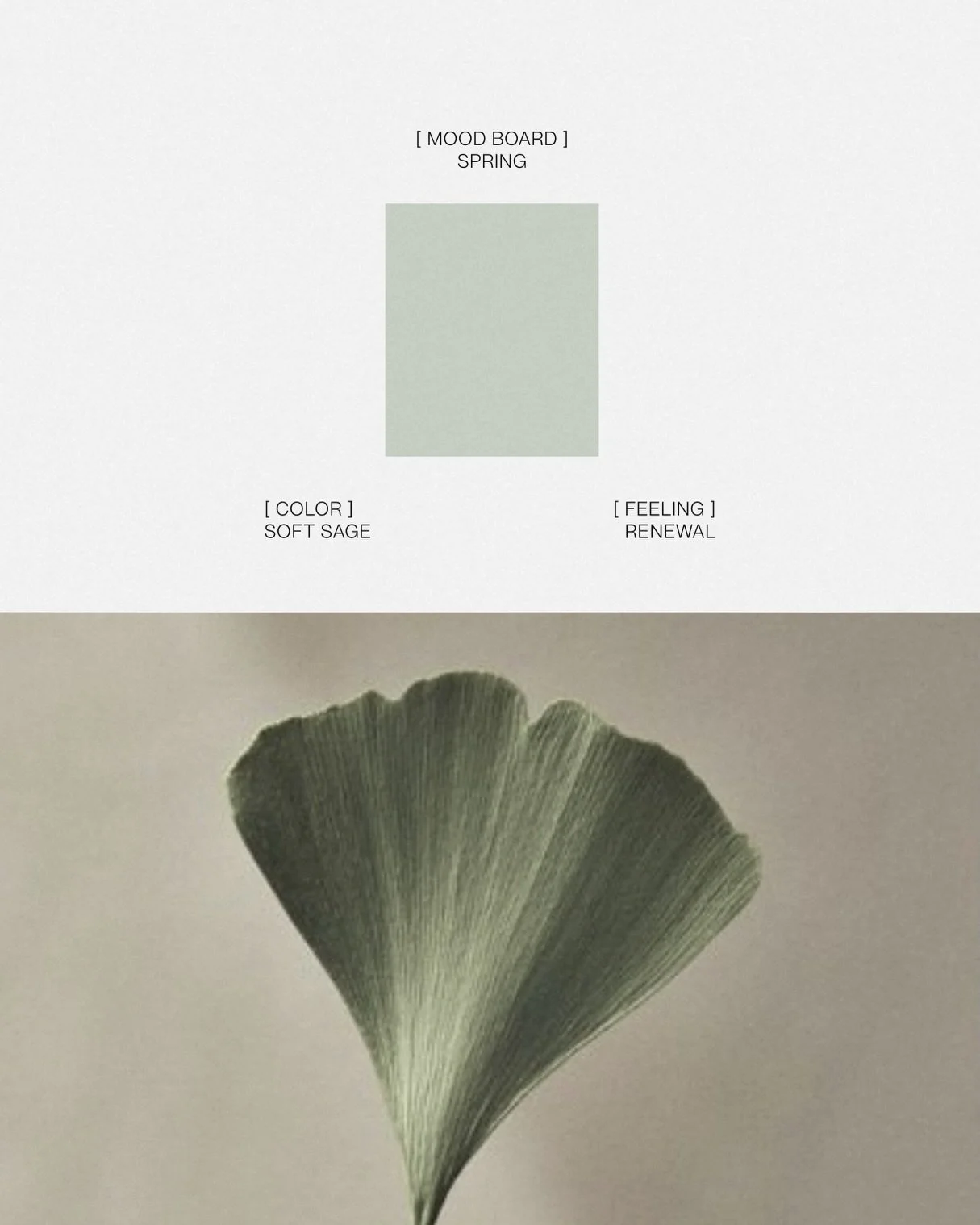 Spring, but make it intentional.

I&rsquo;ve been building out my visual direction for the season, and honestly? This palette feels like the first exhale after a full calendar in quarter one of 2026. 

Butter yellow that doesn&rsquo;t shout. Deep oli