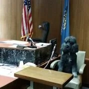 Henry + Dow Paralegal Staff Attends Court Dog Program CLE