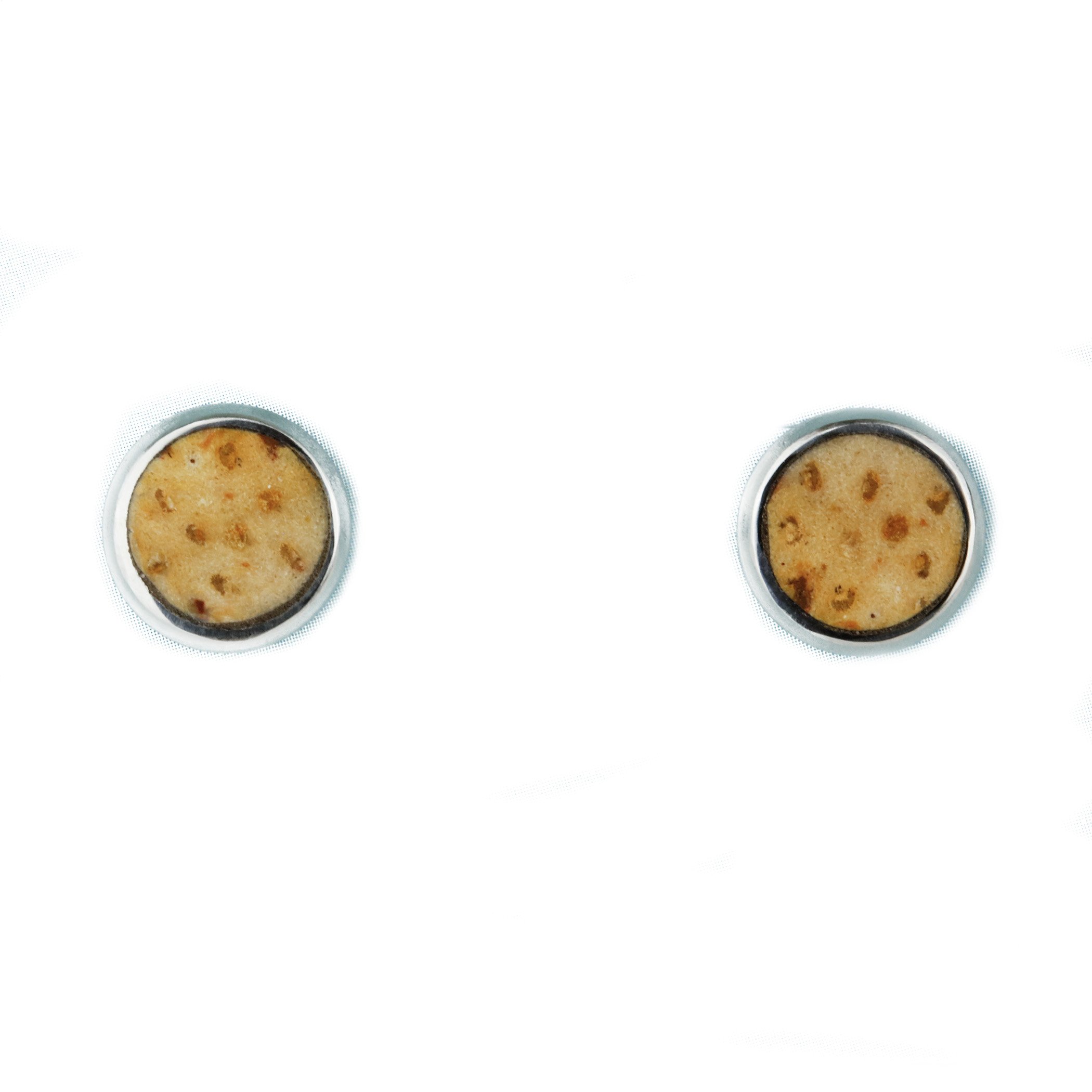 Agatized Palm Root Inlay Stud Earrings