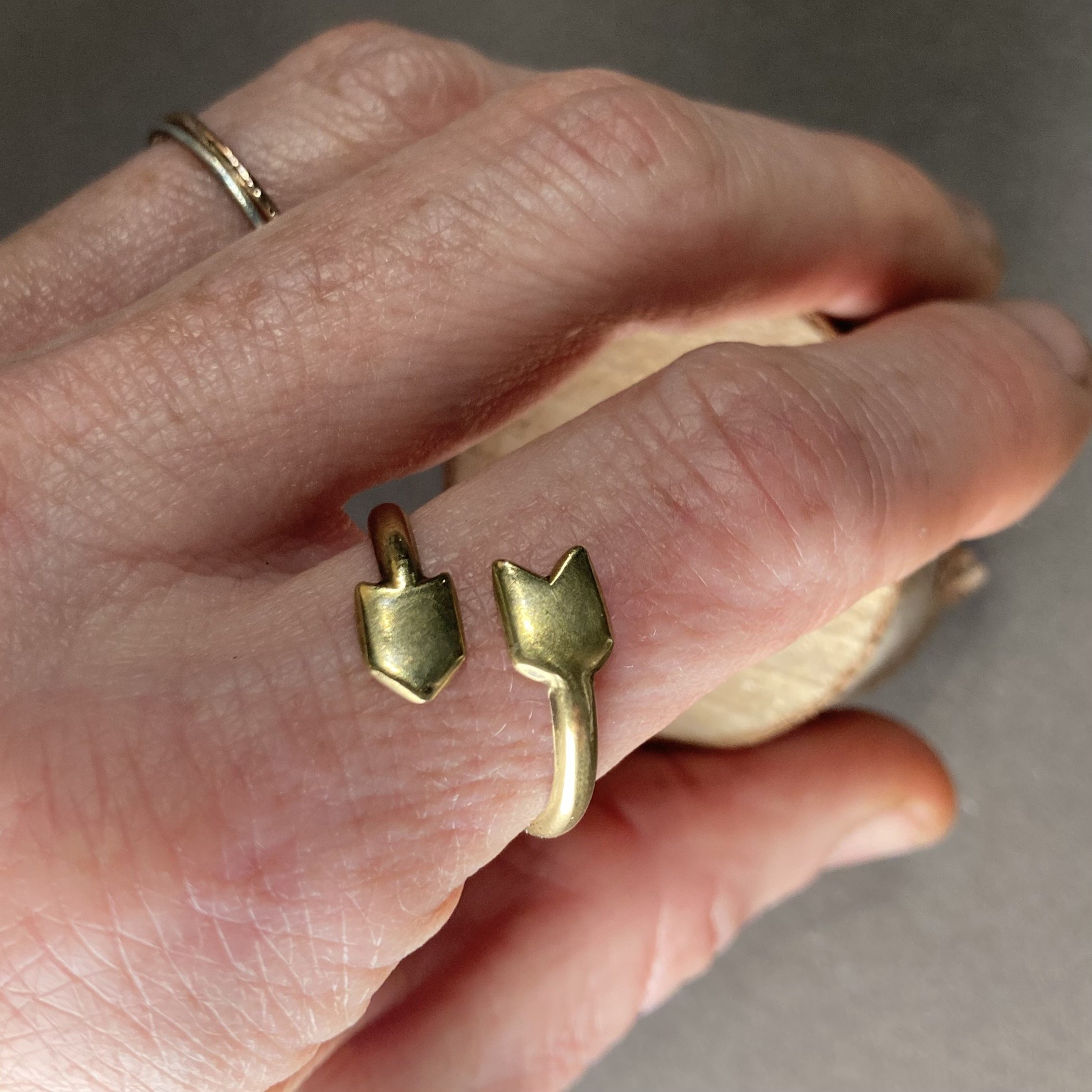 Arrow Ring Model.jpg