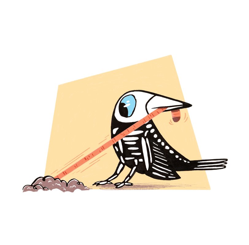 Spooky autumn 6-33.jpg