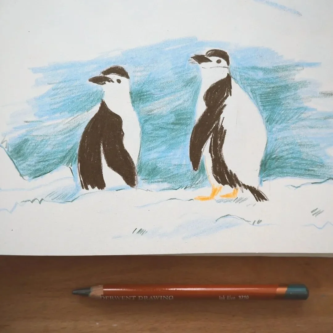Can penguins fly? 🐧 
No, they are not tall enough to get a pilot license.. 

#mondaymood #penguin #sketchbookpage
#illustration #animaldrawing