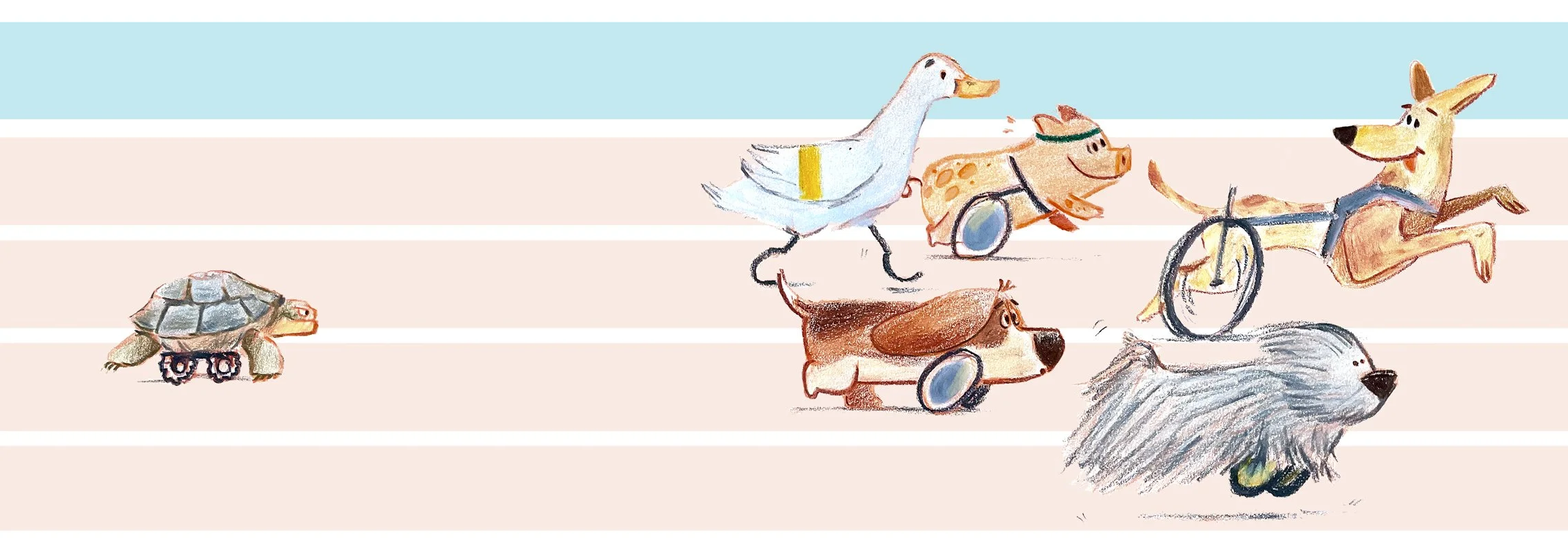 Paralympics animal race - sketch2-19.jpg