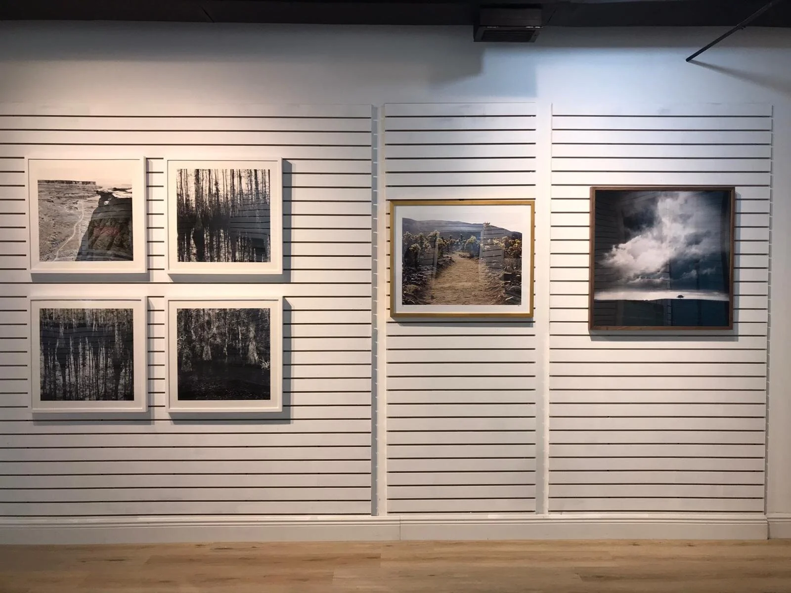 MAY 2021 - "Healing the Earth" Installation View, Art To Save Lives Gallery, Ft Lauderdale, FL