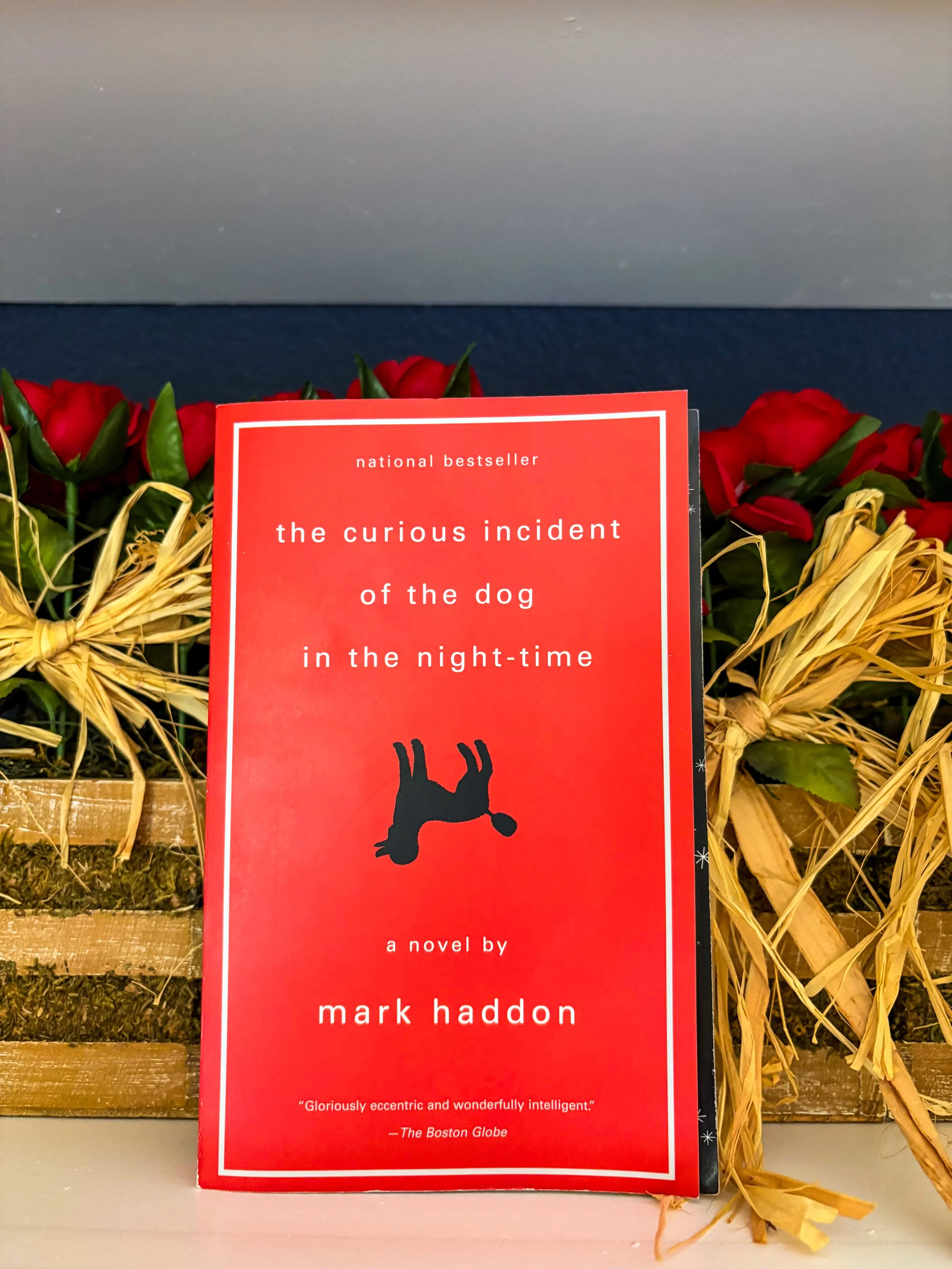 The Curious Incident of the Dog in the Night-Time