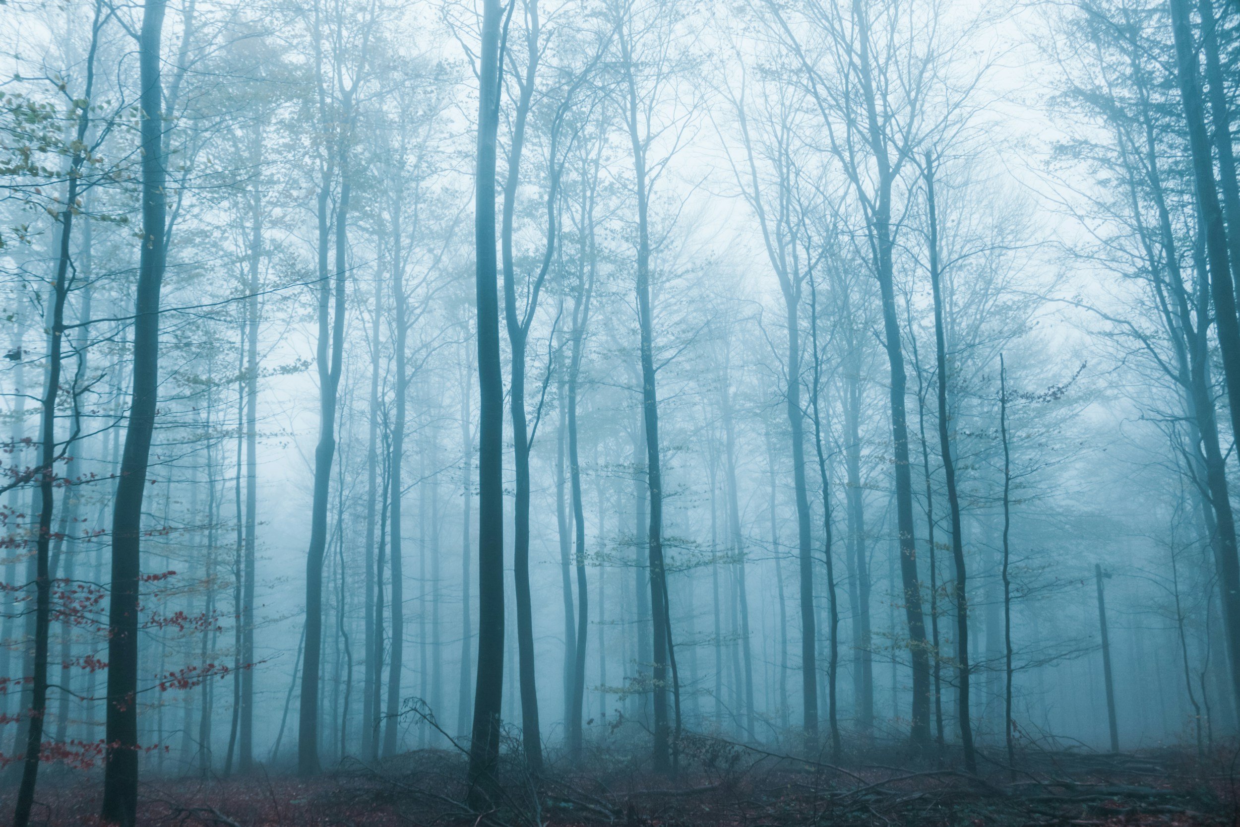 unsplash-image-dt_52sPH1jw.jpg