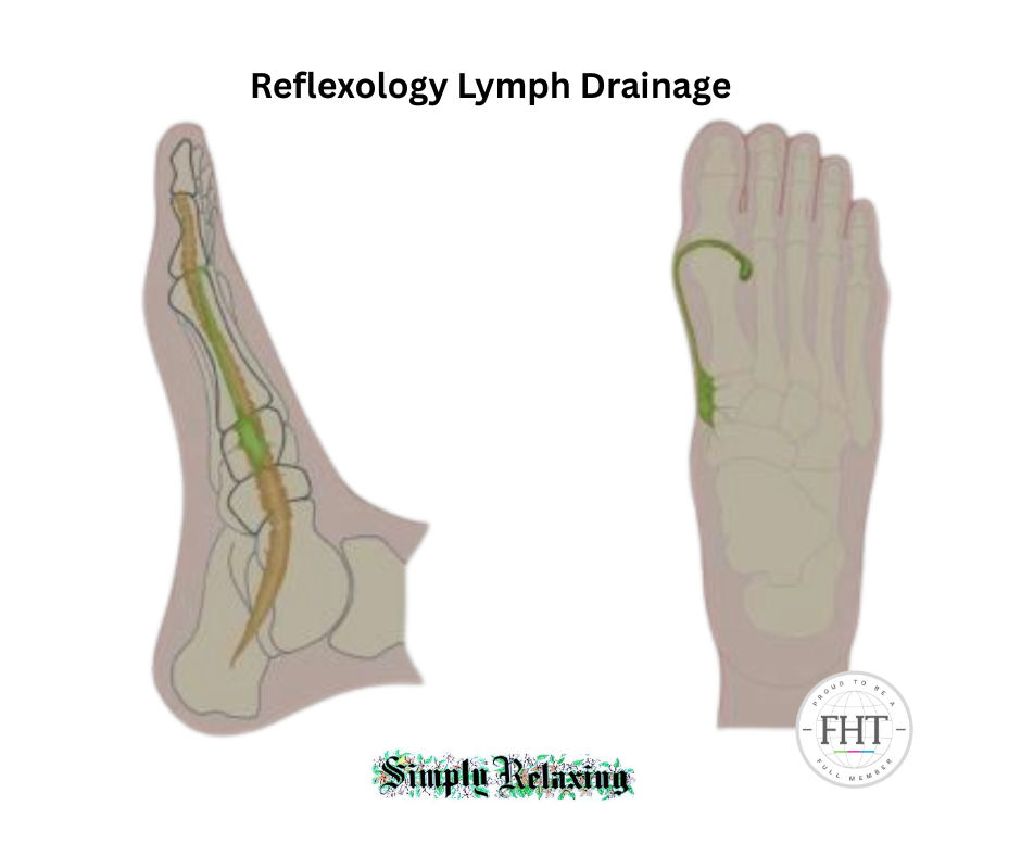Reflexology Lymph Drainage for health