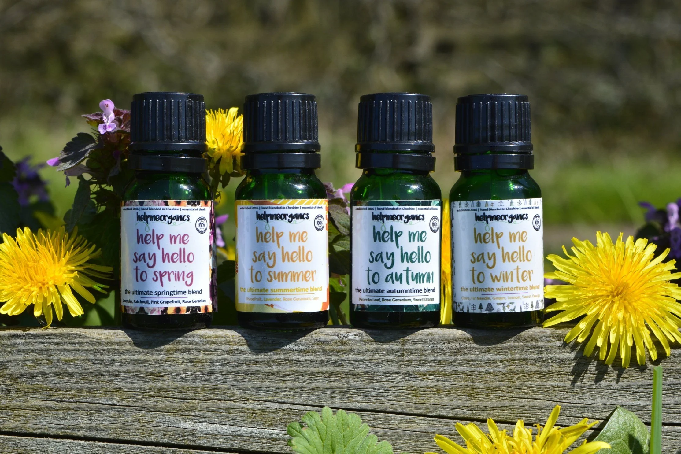 Seasonal Essential Oil Blend Collection gift set