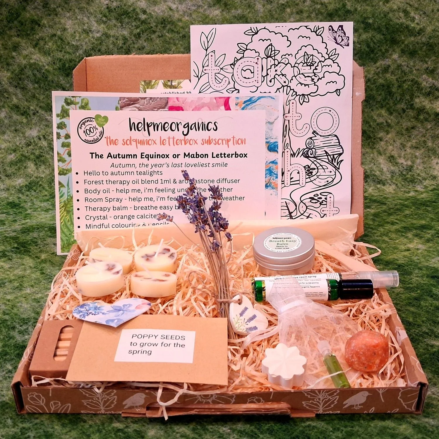 Solquinox Autumn Equinox Letterbox – Seasonal Gift Box for Autumn Balance