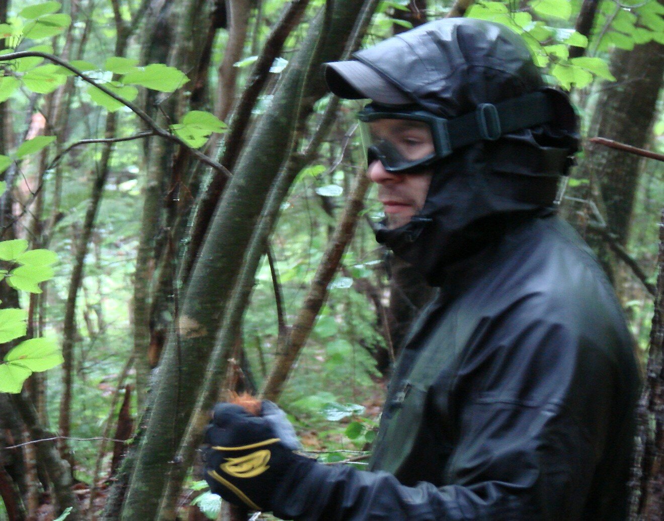 DSC04314.JPG.jpg