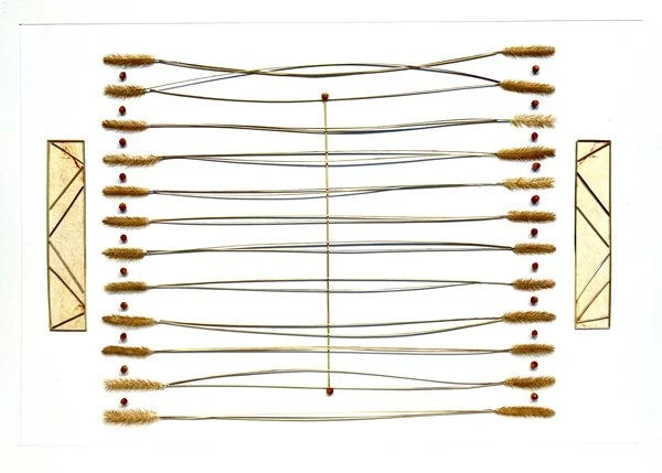 FOXTAIL STRUCTURE II