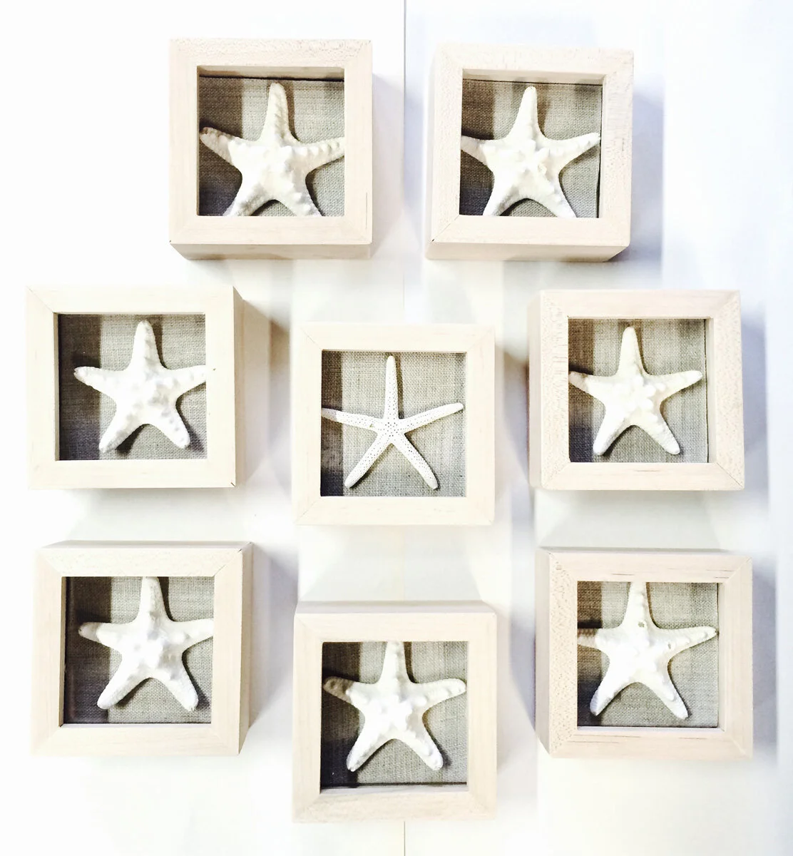 starfish.jpg
