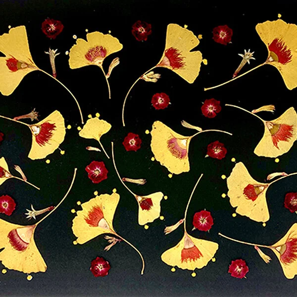 GINGKO PATTERN_thumb.jpg