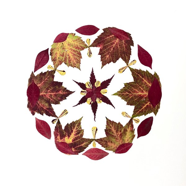 MEDALLION 16.jpg