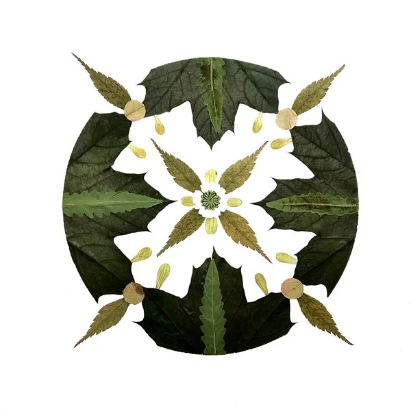 MEDALLION 15.jpg
