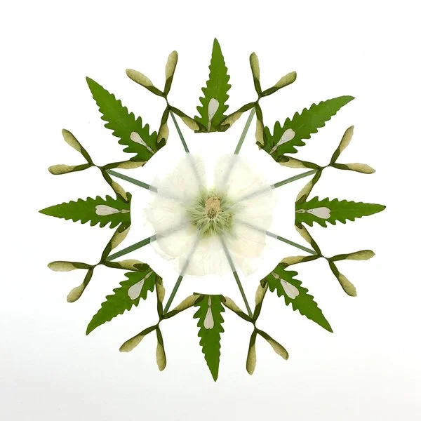 MEDALLION 12.jpg