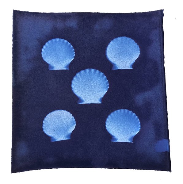 SCALLOPS.jpg