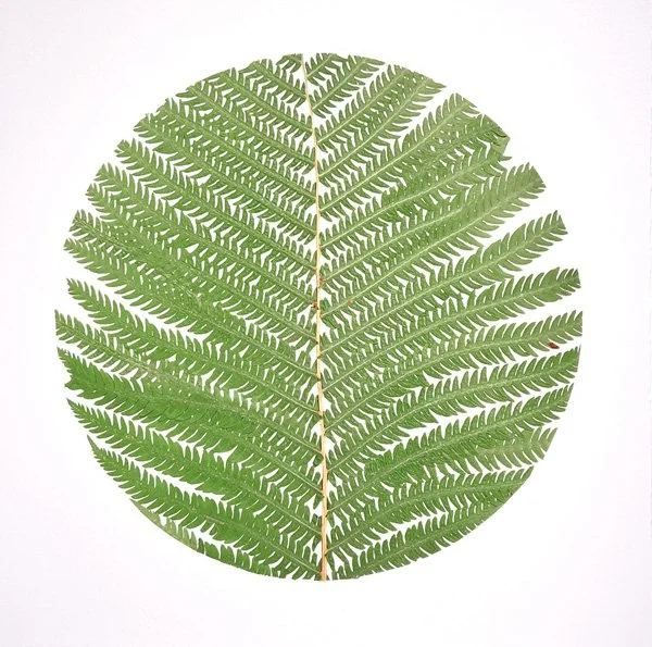 SPHERE, OSTRICH FERN